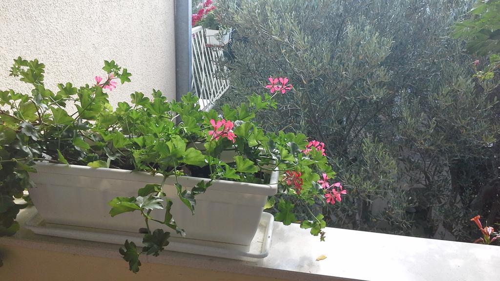 Apartments Anini Dvori Promajna Kültér fotó